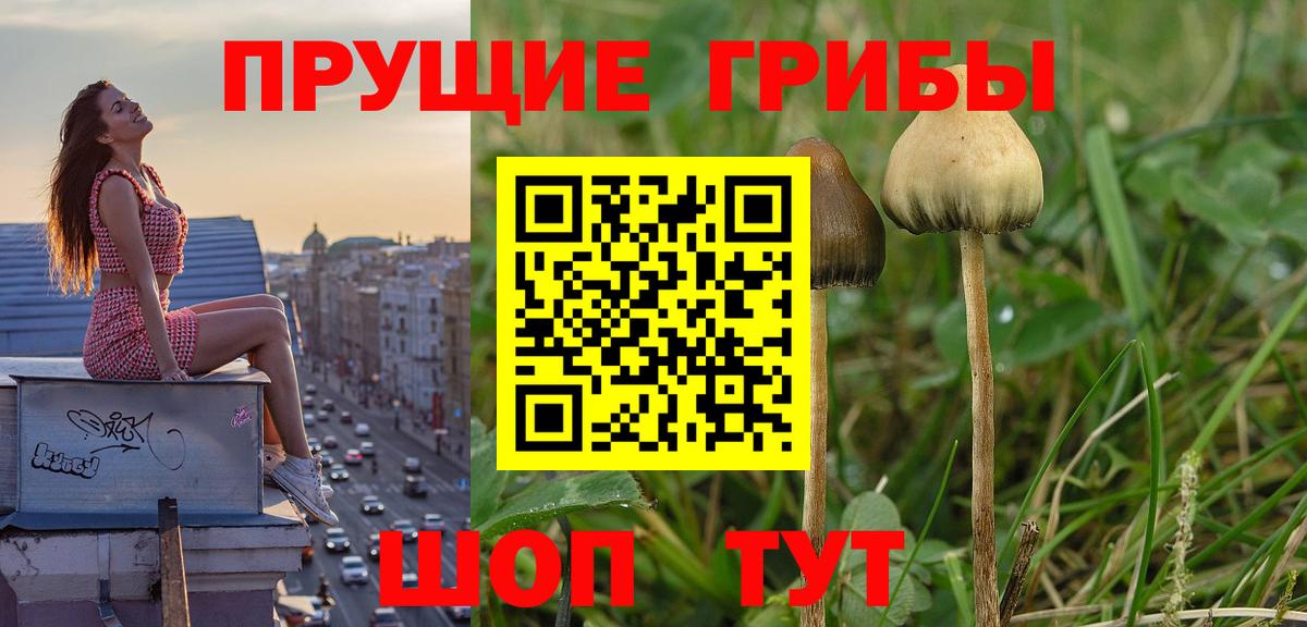 Галлюциногенные грибы Magic Shrooms Орехово-Зуево
